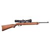 Image 1 : Ruger 10/22 Rifle .22LR