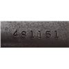 Image 3 : Revelation Bolt Action 20 GA Shotgun