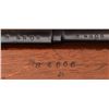 Image 3 : DWM Argentino Model 1891 Mauser 7.65x53mm