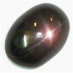 54ct RARE 100% Natural Black Star Diopside Gemstone RETAIL $4550 (GEM-4704)