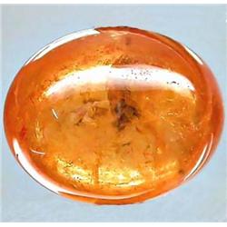 6.56ct RARE Mandarin Orange Spessartite Garnet Namibia Oval Cabochon RETAIL $2375  (GEM-4584)