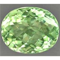 14.54ct RARE Elegant Natural Green Amethyst Unheated Gem VVS RETAIL $3300  (GEM-7033)