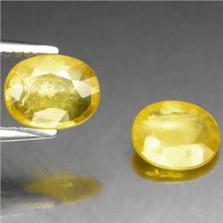 2.64ct RARE Oval Cut Top AAA Yellow Sapphire VS RETAIL $2500  (GEM-7164)