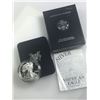 Image 1 : 1999-P Proof Silver Eagle in OGP