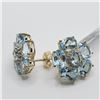 Image 2 : SILVER BLUE AND WHITE TOPAZ(10CT) EARRINGS