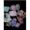 Image 1 : 10 pcs. Rough Cut Natural Opals - Approx. 50 cts
