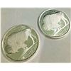 Image 1 : (2) 1 oz Silver Buffalo Design Rounds