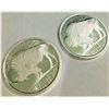 Image 1 : (2) 1 oz Silver Buffalo Design Rounds