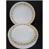 Image 1 : (11) Corelle Vintage Dinner Plates