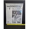 Image 2 : Vintage Teraplane Advertisement