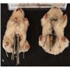 Image 2 : NUTTY PROFESSOR THE ANIMATRONIC HUMPING HAMSTERS PAIR