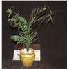 Image 2 : ZZ-CLEARANCE GODZILLA CONTROL ROOM PLANT IN POT MINIATURE SCREEN USED