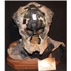 Image 3 : PREDATOR COMPLETE ALIEN EMISSARY BODY SUIT WITH MASK HANDS & FEET SCREEN USED