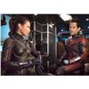 Image 2 : ANT MAN & THE WASP QUANTUMANIA MATCHED FABRIC PANELS 1 SUPER HERO