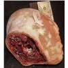 Image 1 : SEVERED SILICONE HEAD WITH GORE AT STUMP