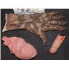 Image 1 : SILICONE SEVERED PENIS ZOMBIE HAND AND HEART