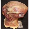 Image 2 : CREATURE ALIEN DEMON HEAD BUST