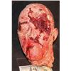 Image 1 : SEVERED HEAD WITH BASHED IN FACE RUGID FOAM