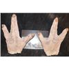 Image 1 : MUTANT ALIEN HANDS MATCHED PAIR
