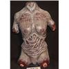 Image 1 : DRAWN AND QUARTERED ZOMBIE BABE TORSO