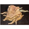 Image 2 : MUTANT ALIEN TENTACLE HEAD CREATURE OOAK ART PIECE