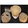 Image 1 : MUTANT ALIEN CREATURE SKULL CAPS LOT OF 3