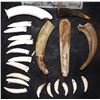 Image 1 : INDIANA JONES KINGDOM OF THE CHRYSTAL SKULL NATIVE JEWELRY BONES