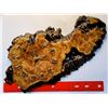 Image 1 : 25)  LACQUERED NATURAL BURLED WALNUT CLOCK