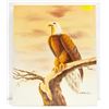 Image 1 : UNFRAMED ORIGINAL ACRYLIC PAINTING OF EAGLE