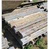 Image 1 : PALLET OF 2X4 4-5 FT LENGTHS NOT PROCESSED