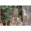 Image 2 : CHINESE CARVED HARDWOOD STANDING BODHISATTVA