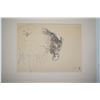 Image 2 : MATTED WATERCOLOR, "HORSE HEAD"; SIGNED (18" X 14")