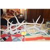 Image 1 : ASSORTED ANTLERS (7 PCS)