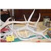 Image 2 : ASSORTED ANTLERS (7 PCS)