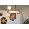 Image 2 : MOUNTED ANTLERS (3 PCS)