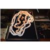 Image 2 : CORAL & SHELL NECKLACES (4) & SHELL EARRINGS (5 PCS)