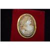 Image 2 : 14K FRAMED VICTORIAN CAMEO MADE BY DAWKINS BENNY, HAWAII