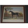 Image 2 : FRAMED EQUESTRIAN ART (28 1/4" X 24") (2 PCS)