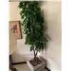 Image 1 : Artificial Plant At Least 8 Feet Tall