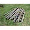 Image 2 : 25X THE BID - Fence poles 3"-4" diameter - 6ft long