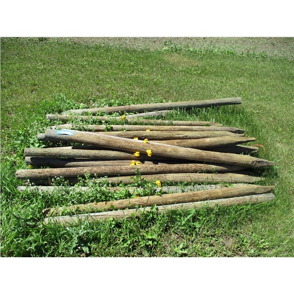 25X THE BID - Fence poles 2"-3" diameter - 6ft long