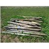 Image 1 : 25X THE BID - Fence poles 3"-4" diameter - 6ft long