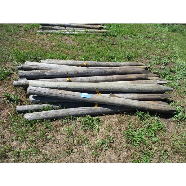 25X THE BID - Fence poles 3" diameter - 6ft long