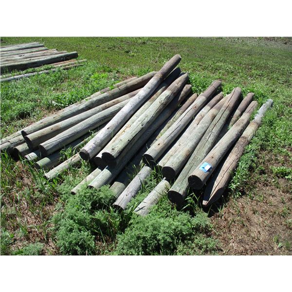 25X THE BID - Fence poles 5" diameter - 8ft long