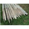 Image 2 : 25X THE BID - Fence poles 4"-5" diameter - 8ft long