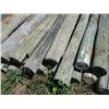 Image 4 : 25X THE BID - Fence poles 4"-5" diameter - 8ft long