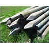 Image 2 : 25X THE BID - Fence poles 5" diameter - 8ft long