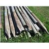 Image 4 : 25X THE BID - Fence poles 4" diameter - 8ft long