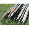 Image 3 : 25X THE BID - Fence poles 4" diameter - 7ft long