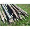 Image 3 : 25X THE BID - Fence poles various diameter - 8ft long
